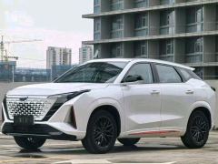 Oshan Z6 1.5T Smart Version - photo 4