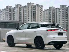 Oshan Z6 1.5T Smart Version - photo 8