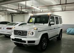 Mercedes-Benz G Class G-Class G 350 - ფოტო 1