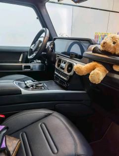 Mercedes-Benz G Class G-Class G 350 - ფოტო 6