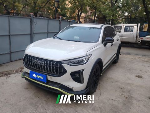 2021 Haval Chitu Turbo Engine Edition 1.5T Platinum - car from China