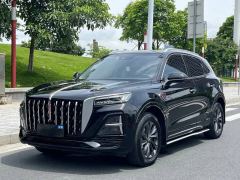 Hongqi HS5 2.0T AWDPro50Anniversary Edition - ფოტო 2
