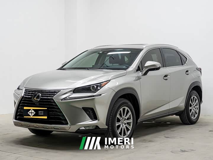 Lexus NX 2020 300h front-wheel drive Fengshang Edition National VI - ავტომობილი ჩინეთიდან