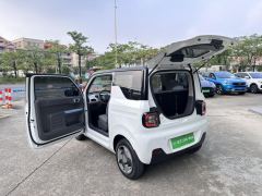 Geely Galaxy Panda mini 200km Animated Bear - ფოტო 14