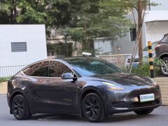 Tesla Model Y 554km Rear-Wheel Drive Edition - photo 2
