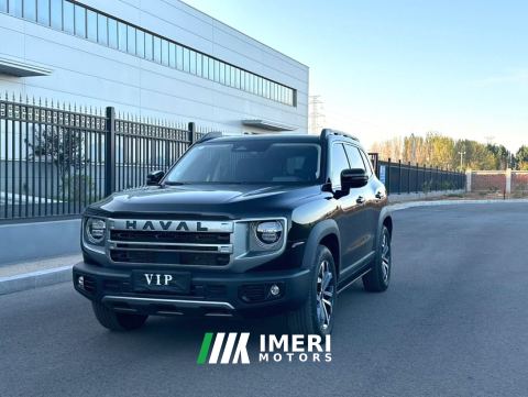 2024 Haval Great Wall Big Dog 1.5T 2WD Edition - car from China