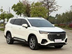 Geely Haoyue L 2.0T Premium Version - ფოტო 3