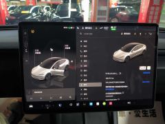Tesla Model 3 606km Rear-Wheel Drive Edition - ფოტო 17