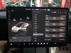 Tesla Model 3 606km Rear-Wheel Drive Edition - ფოტო 18