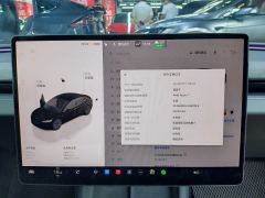 Tesla Model 3 606km Rear-Wheel Drive Edition - ფოტო 18
