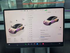 Tesla Model 3 606km Rear-Wheel Drive Edition - фото 14