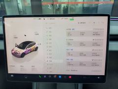 Tesla Model 3 606km Rear-Wheel Drive Edition - фото 15