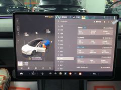 Tesla Model 3 606km Rear-Wheel Drive Edition - ფოტო 13