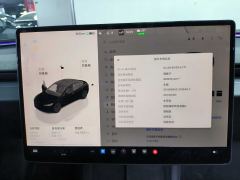 Tesla Model 3 606km Rear-Wheel Drive Edition - photo 18
