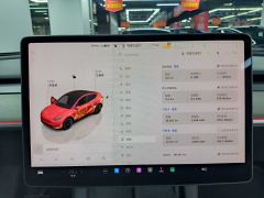Tesla Model Y 554km Rear-Wheel Drive Edition - ფოტო 18