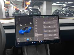 Tesla Model 3 606km Rear-Wheel Drive Edition - photo 6