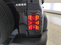 Tank 300 Off-Road Edition 2.0T Conqueror - photo 5