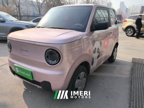 2024 Geely Panda mini 200km - car from China