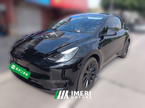 2021 Tesla Model Y Standard endurance rear-wheel drive - ავტომობილი ჩინეთიდან