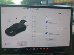 Tesla Model Y Standard endurance rear-wheel drive - photo 9