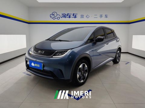2025 BYD Dolphin 420km Free Version - car from China