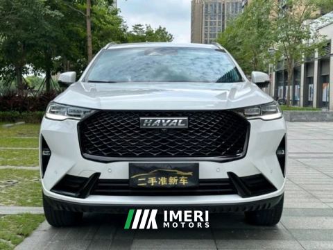 2023 Haval H6 Guochao Edition 1.5T 2WD Champion Edition - car from China