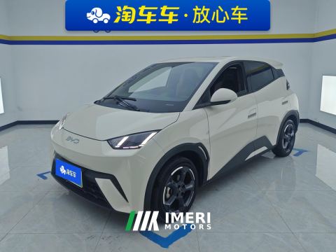 2024 BYD Seagull Honor Edition 405km Flying Edition - car from China
