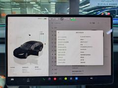 Tesla Model 3 606km Rear-Wheel Drive Edition - ფოტო 18
