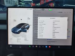 Tesla Model 3 606km Rear-Wheel Drive Edition - ფოტო 16
