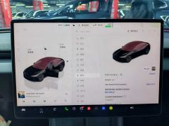 Tesla Model 3 606km Rear-Wheel Drive Edition - ფოტო 17