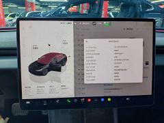 Tesla Model 3 606km Rear-Wheel Drive Edition - ფოტო 18