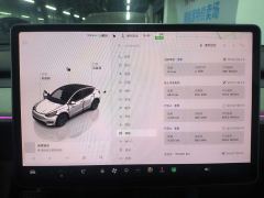 Tesla Model Y 554km Rear-Wheel Drive Edition - ფოტო 16
