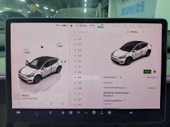 Tesla Model Y 554km Rear-Wheel Drive Edition - ფოტო 17