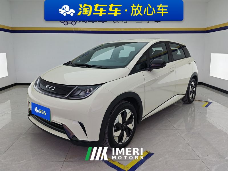 BYD Dolphin 420km Free Version
