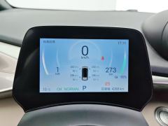 BYD Dolphin 420km Free Version - ფოტო 20