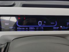 Geely Galaxy Panda mini 200km Animated Bear - ფოტო 20