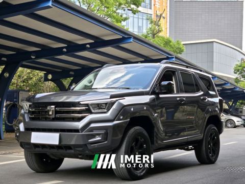 2023 Tank 400 New Energy 400 2.0T 105km Edition - car from China