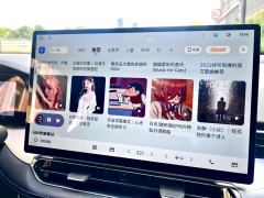 Geely Xingui 2.0T Edition - photo 9