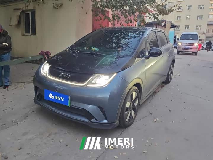 BYD Dolphin Glory Edition 401km Knight Edition - ავტომობილი ჩინეთიდან