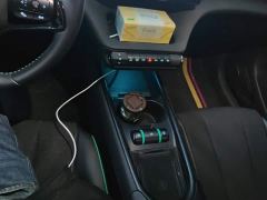 BYD Dolphin Glory Edition 401km Knight Edition - ფოტო 16