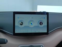 BYD Seagull Smart Driving Edition 305km Vitality Edition - photo 17