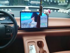 Leapmotor Leapo C10 EREV 210km 210 Smart Edition - ფოტო 17