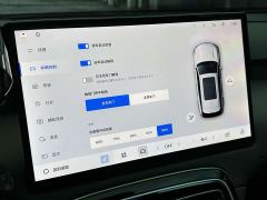 Geely Boyue L 1.5T Pro - photo 11