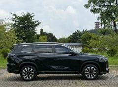 Chery Tiggo 8 PLUS 290TGDI Version - photo 18