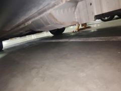 Buick Enclave Plus 652T 2WDLuxury Version 5 - фото 11