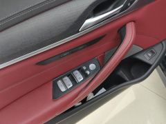 BMW 5 Series 530Li Premier M Sport Package - ფოტო 13