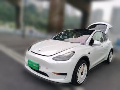 Tesla Model Y 554km Rear-Wheel Drive Edition - ფოტო 1