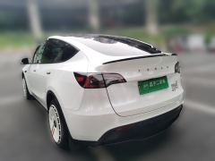 Tesla Model Y 554km Rear-Wheel Drive Edition - ფოტო 4