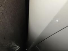 BMW 3 Series 325Li M Sport Package - ფოტო 10