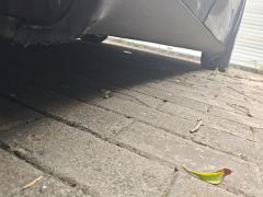 Tesla Model Y Facelift 545km Rear-Wheel Drive Edition - photo 10